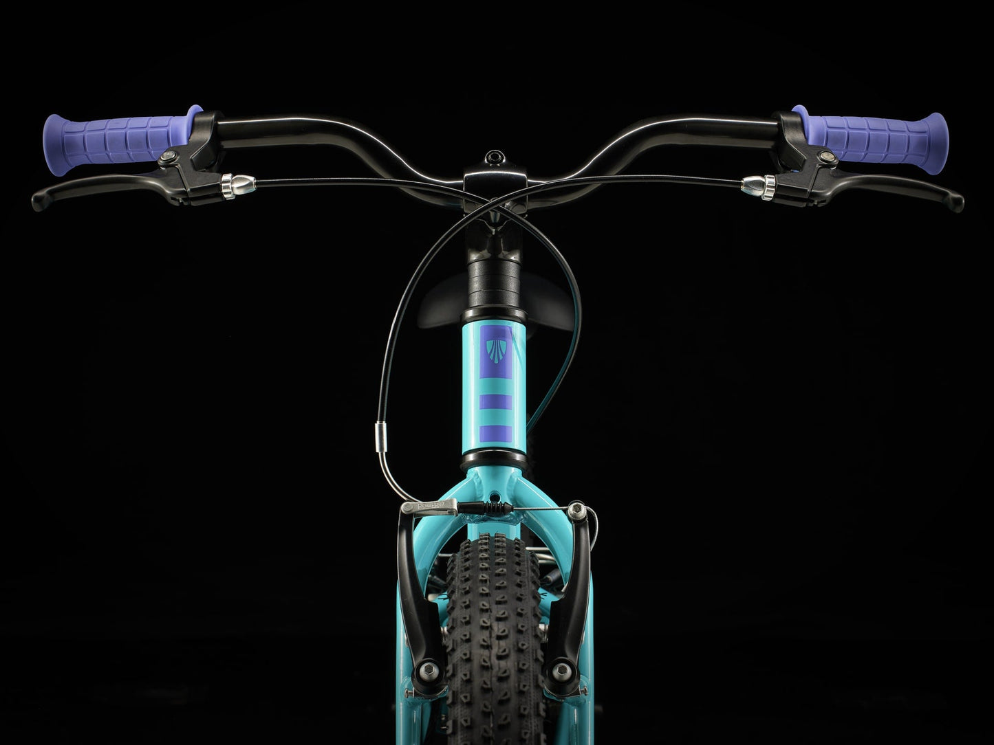 Precaliber 20 Freewheel - TREK